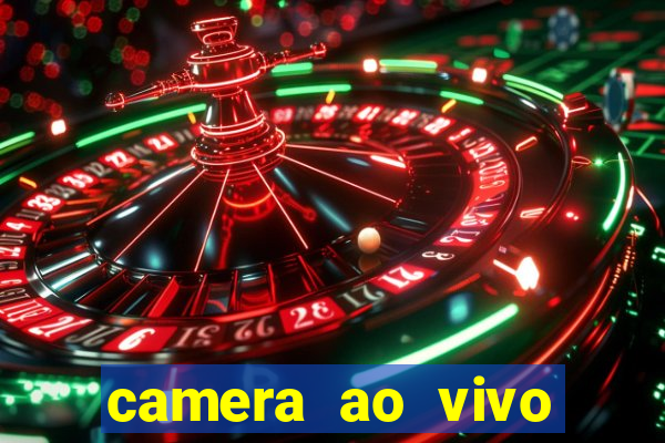 camera ao vivo beto carrero